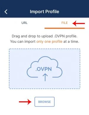 انجام تنظیمات در اپلیکیشن OpenVPN Connect
