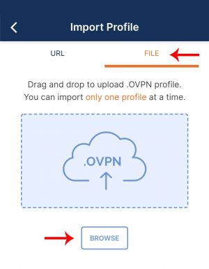انجام تنظیمات در اپلیکیشن OpenVPN Connect